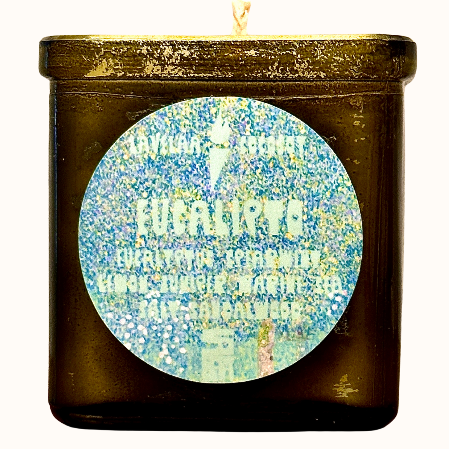 Eucalipto - Eucalyptus