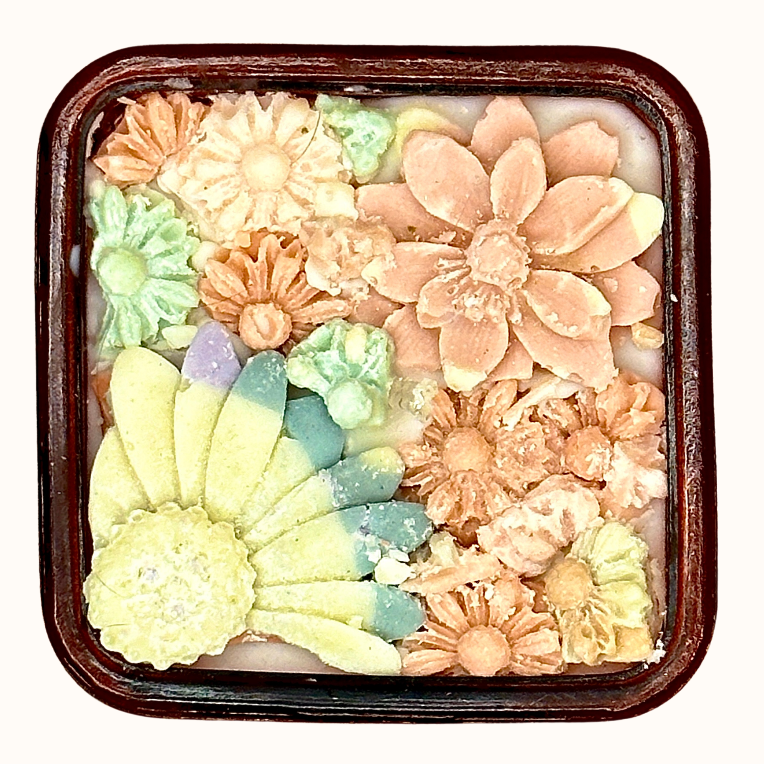 Tomate - Tomato Leaf