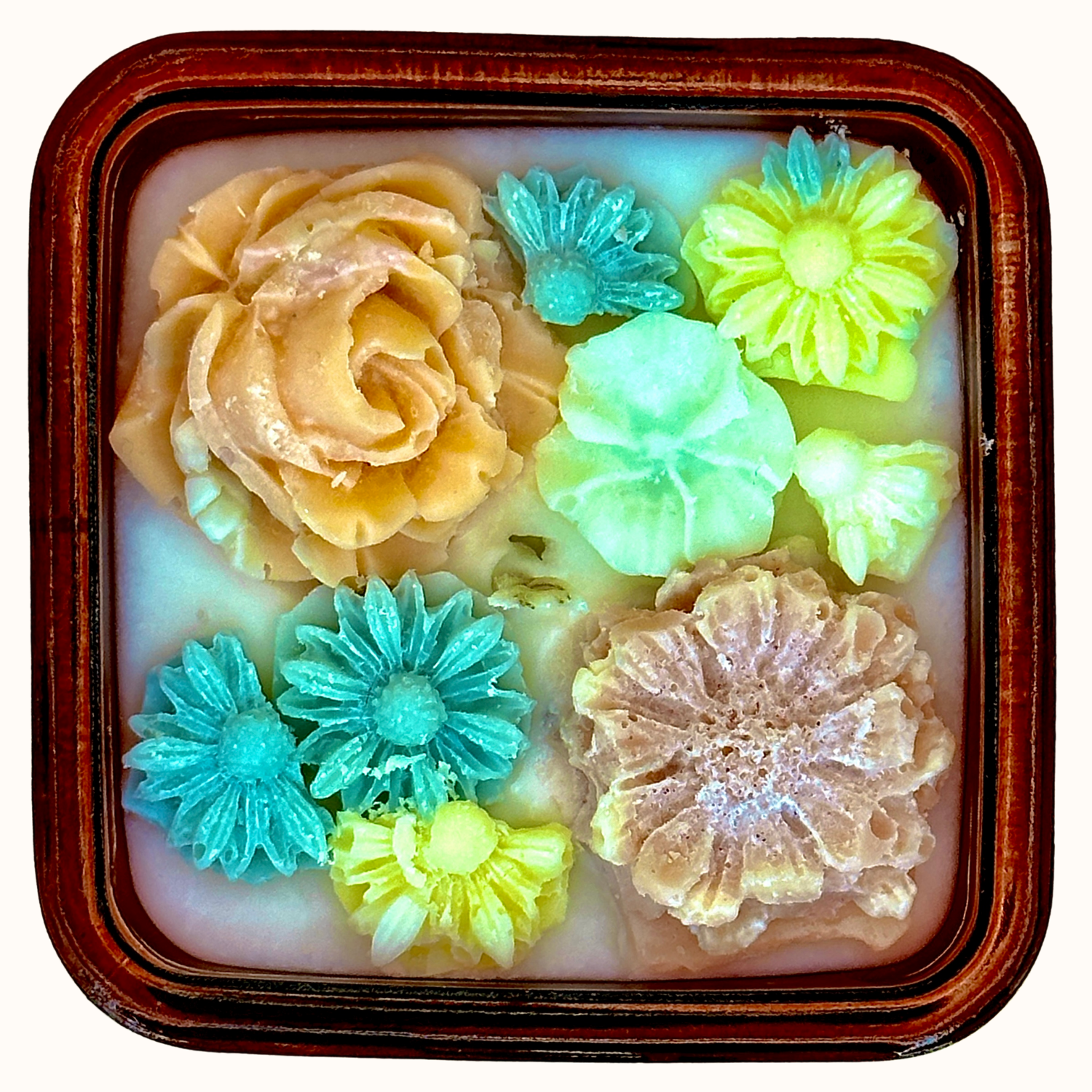 Toronja - Grapefruit