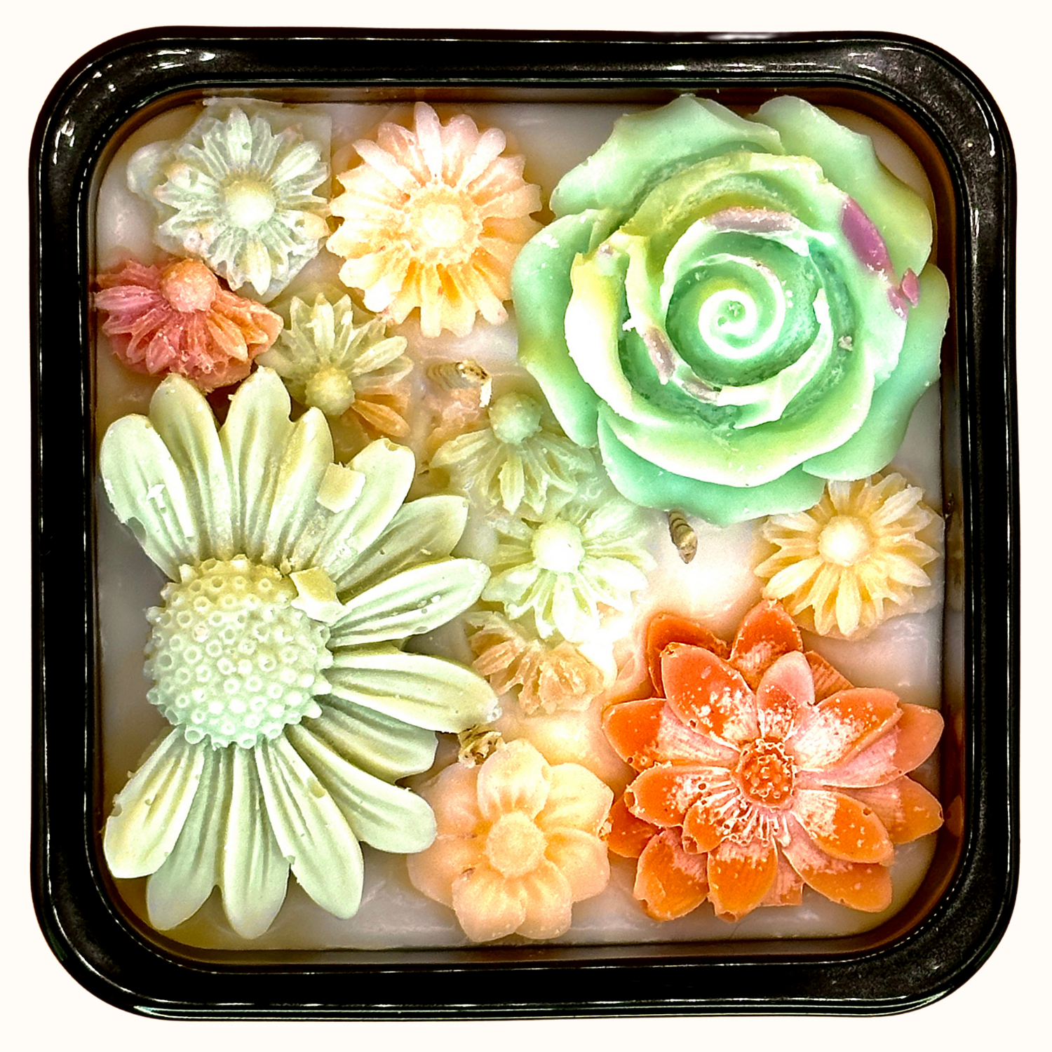 Olivo - Olive Three Wick