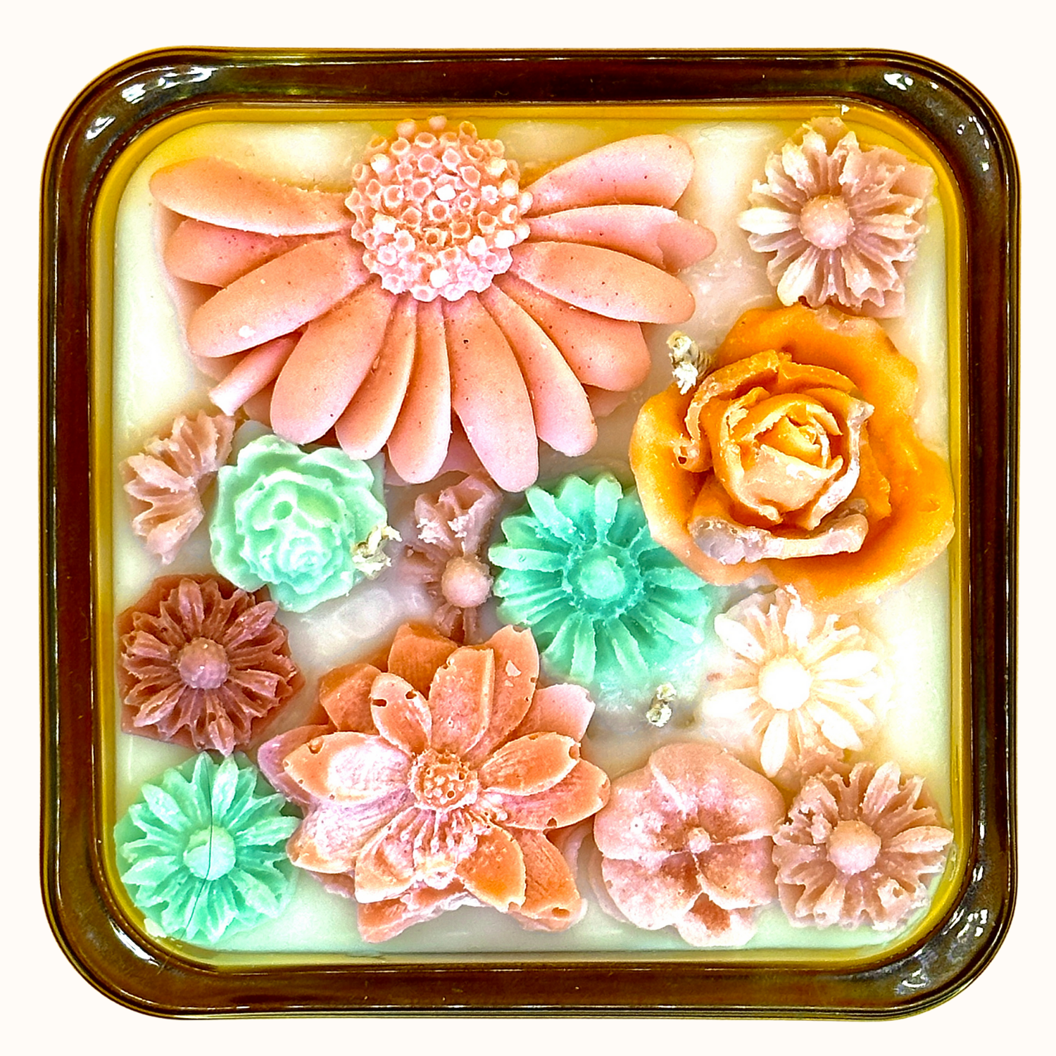 Tomate - Tomato Leaf Three Wick