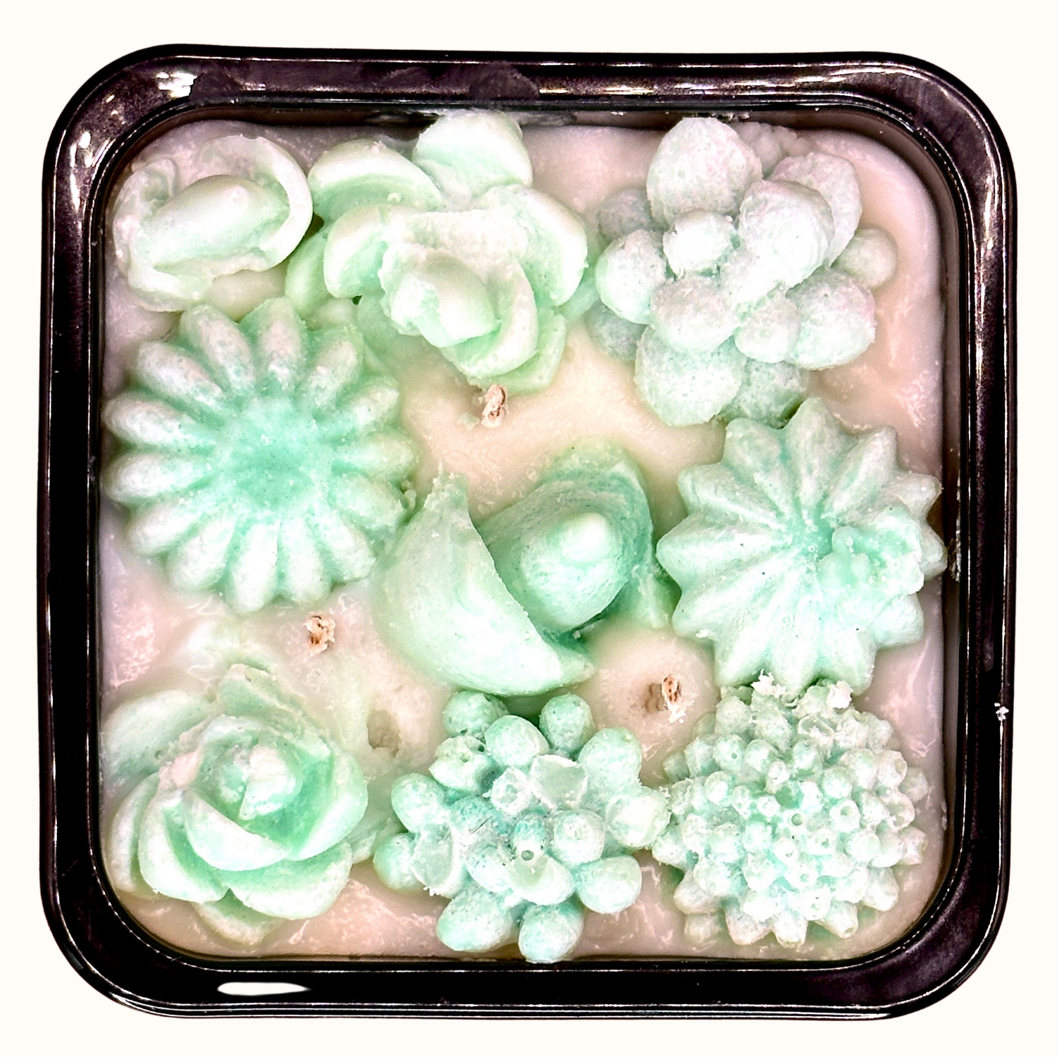 Eucalipto - Eucalyptus Three Wick