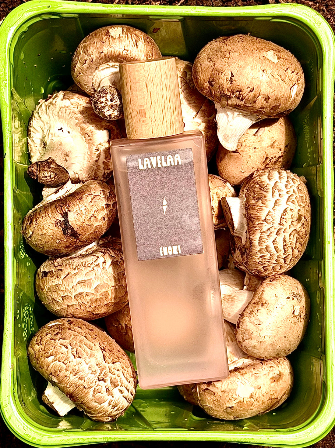 Earth Bottled
