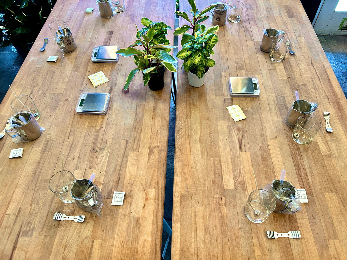 Candle making classes
