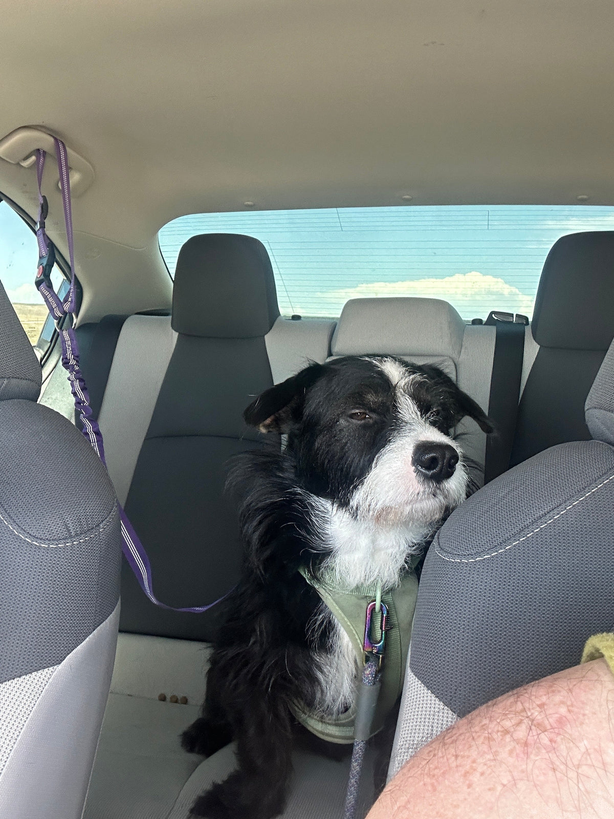 Summer road trip