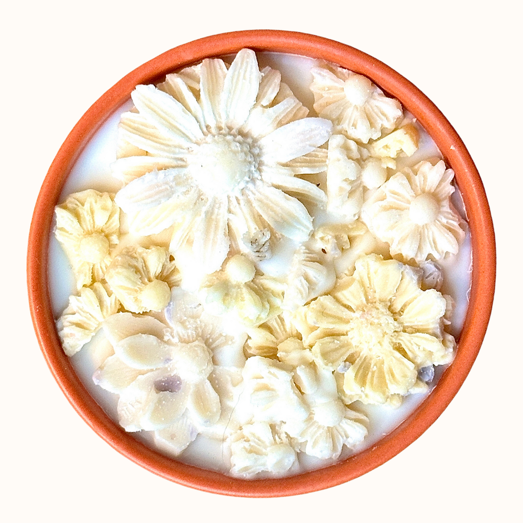 Pina mini