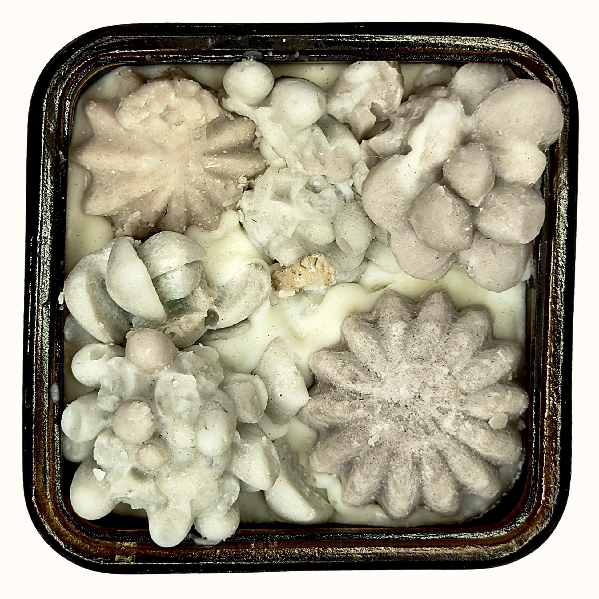 Enoki