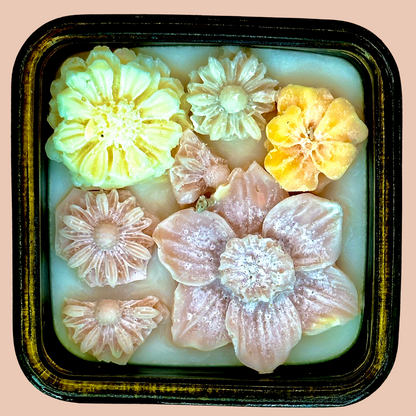 Pina - Pineapple