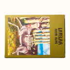 Pina Bar