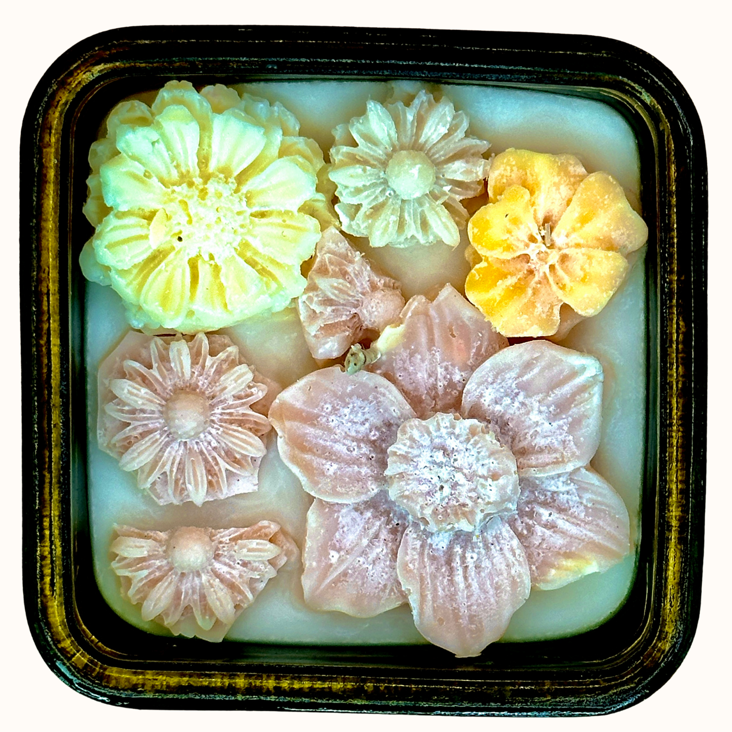 Pina - Pineapple – lavelaa