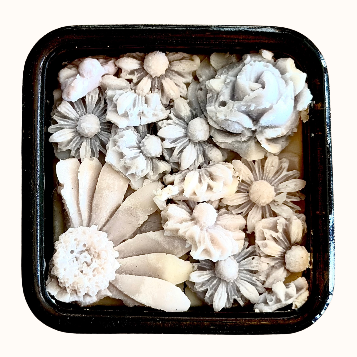 Orquidea One Wick