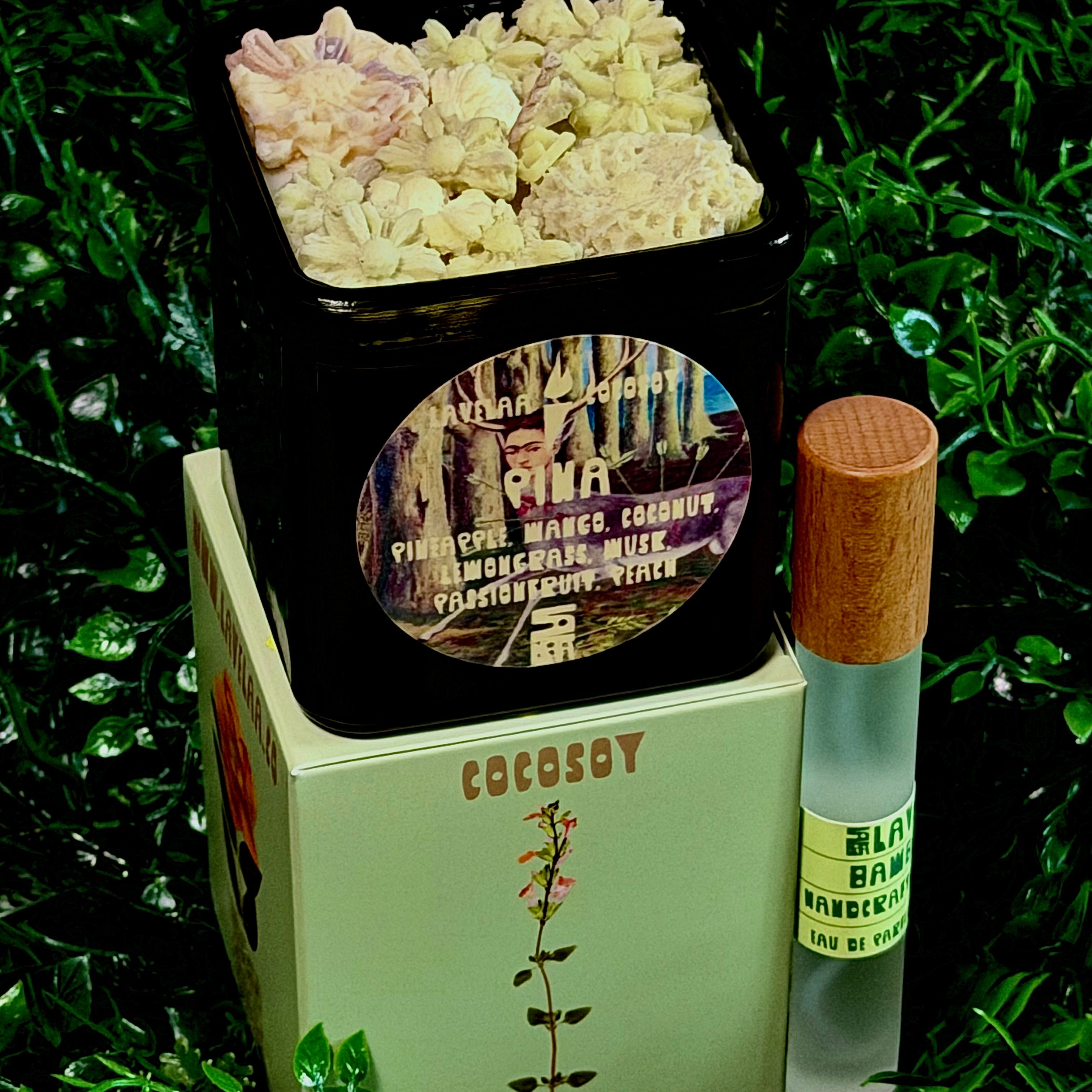 LAVELAA botanica
