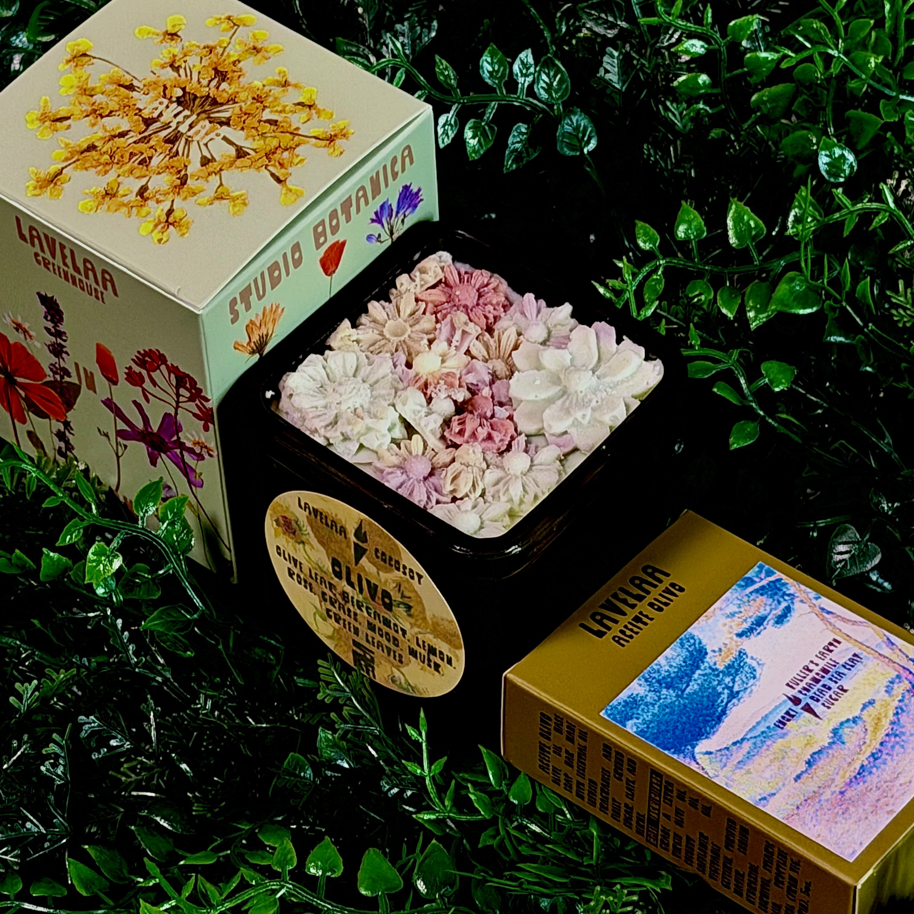 LAVELAA botanica
