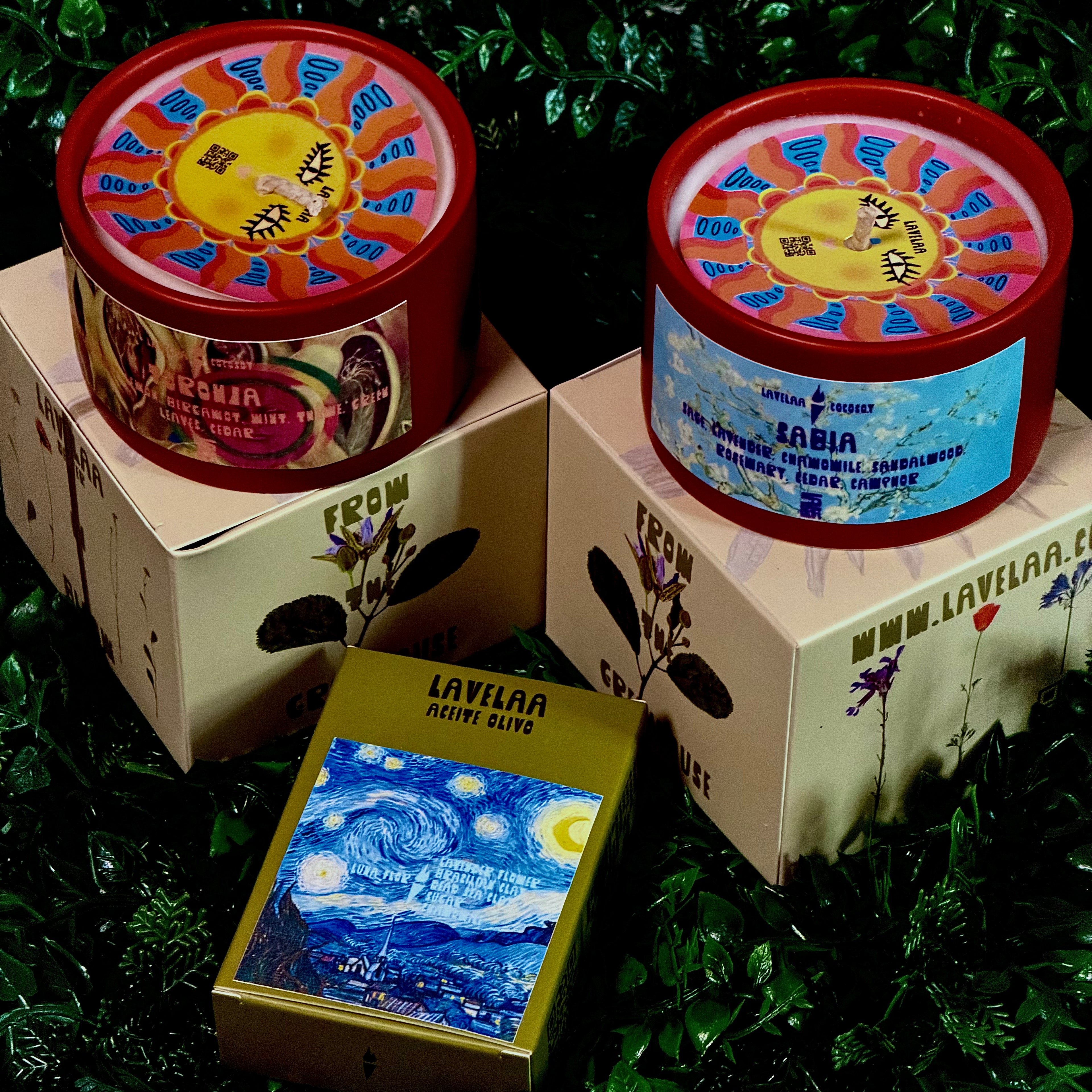 LAVELAA botanica